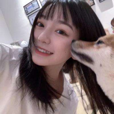 地上无仙官方版下载